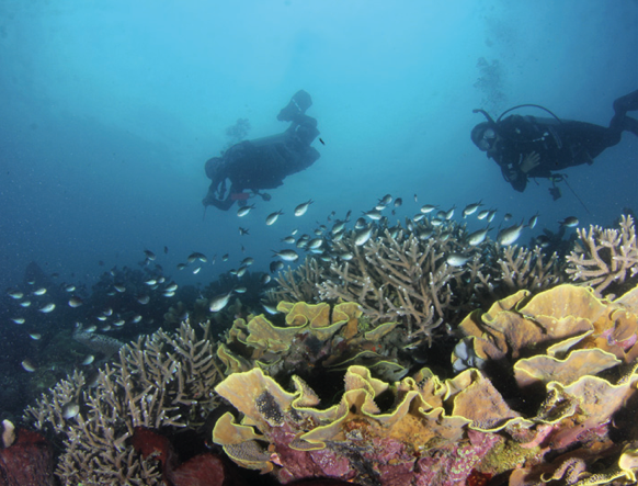 Scuba divers at Maasim Reef in Sarangani by Iggy Tadlip